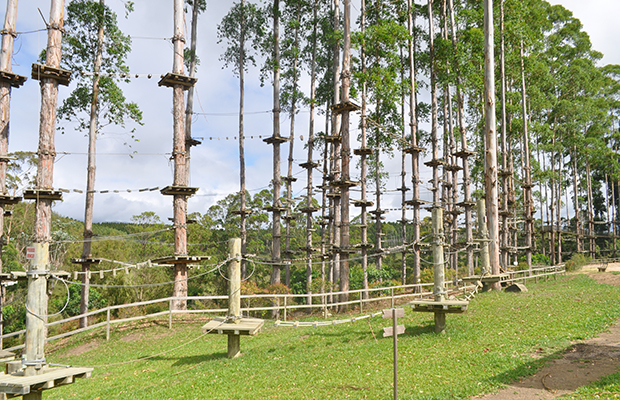 Arvorismo em Pedra Azul