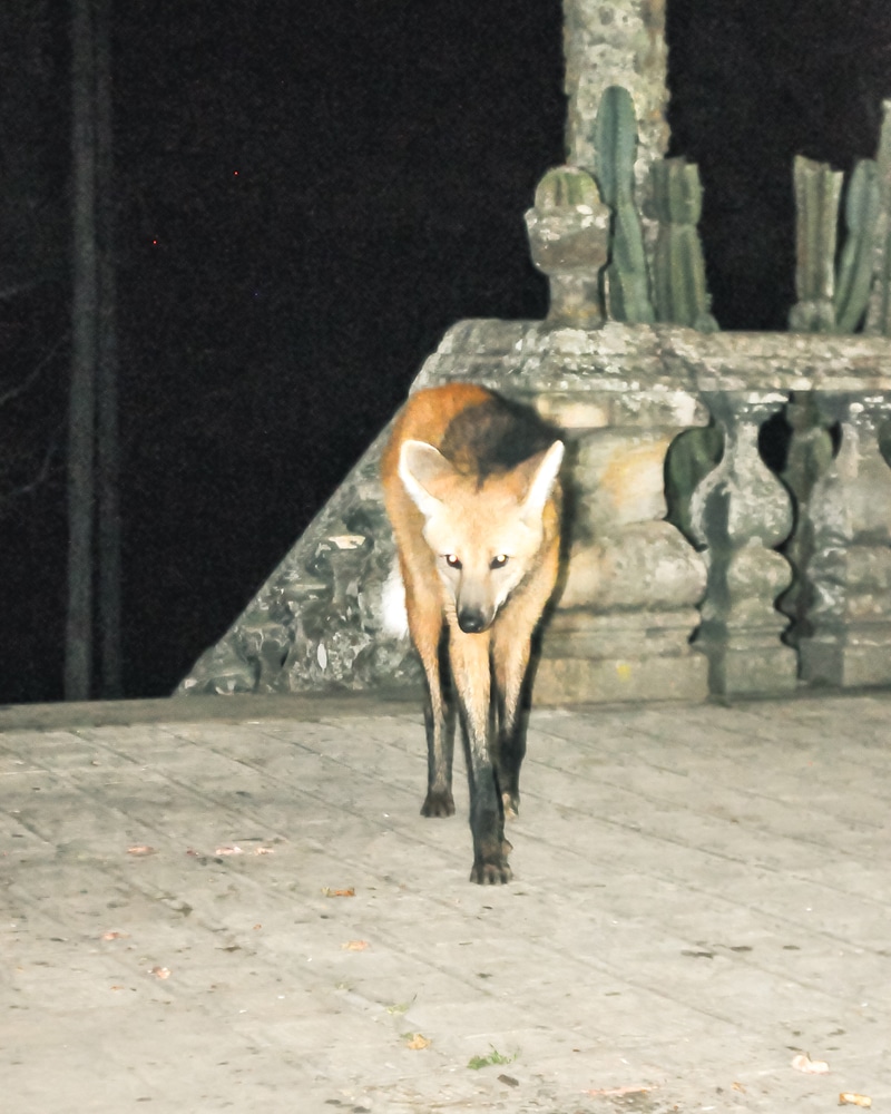 Xadrez e Caraça, do passado ao presente​ – Santuário do Caraça