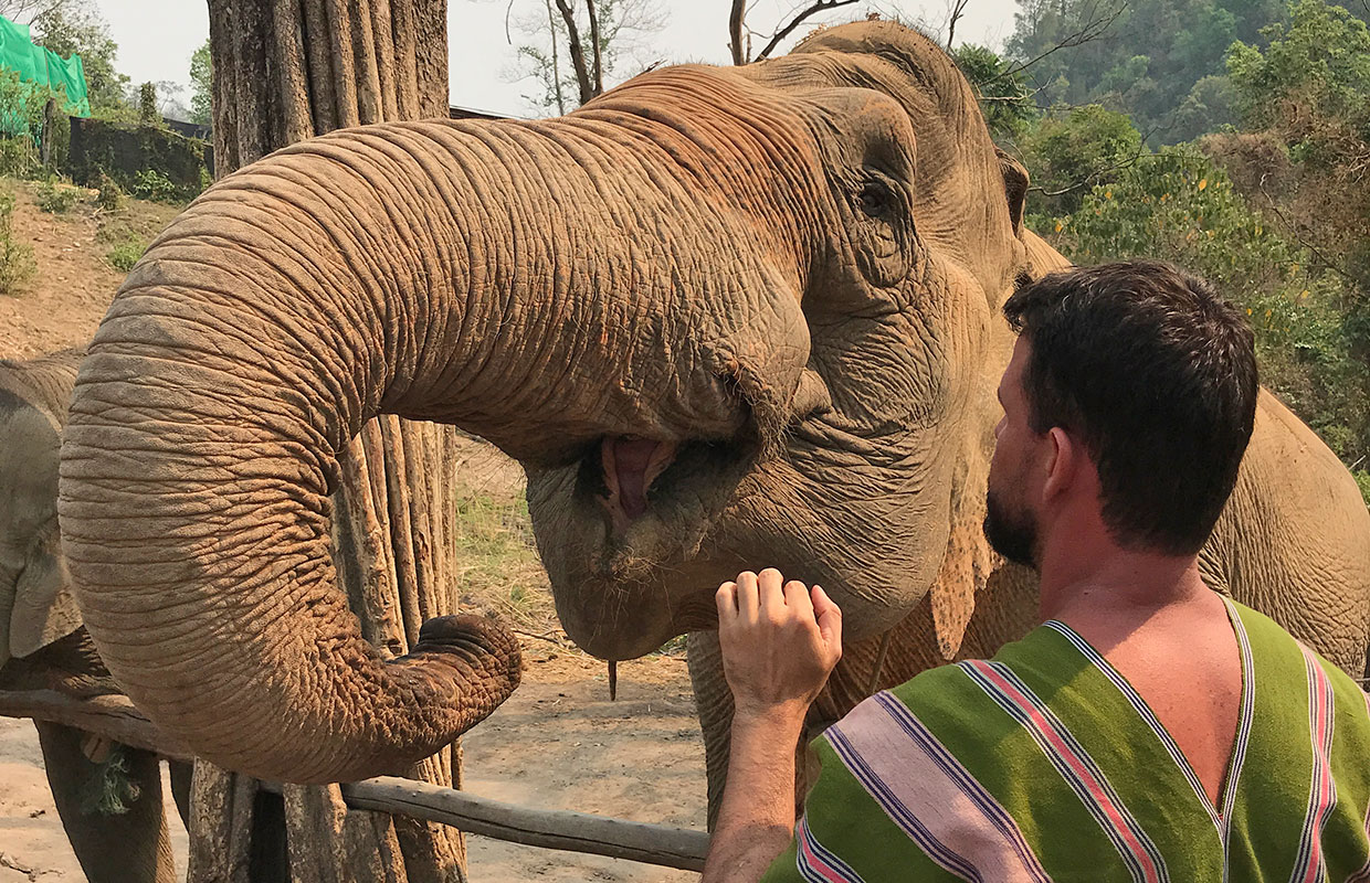 Elefantes na Tailândia: como e visitar um santuário de verdade