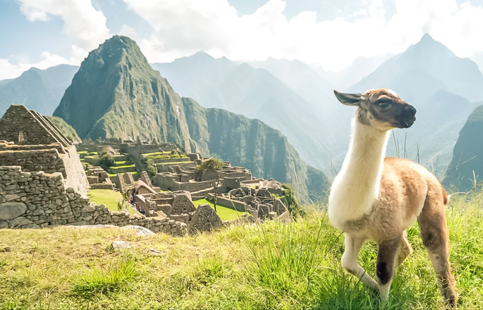 Quando ir a Machu Picchu: a melhor época com dicas mês a mês